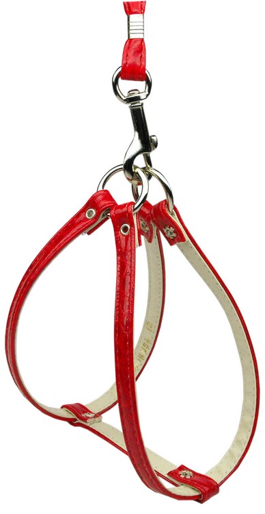 Faux Snake Skin Step In Harness Red 10